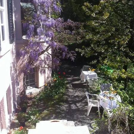 Garden Zürichberg Apartamento *
