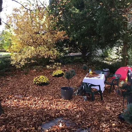 Garden Zuerichberg アパート