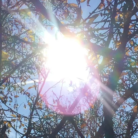 Garden Zuerichberg アパート *