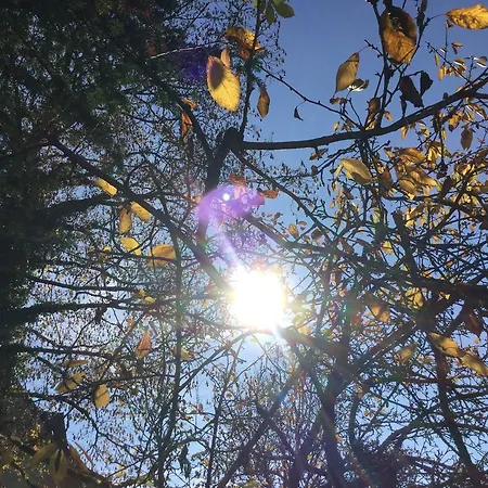 Garden Zuerichberg *