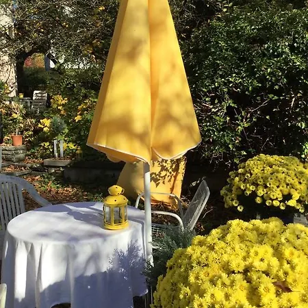 Garden Zuerichberg アパート *