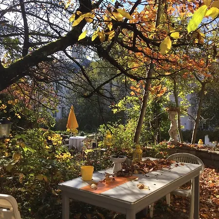 Garden Zuerichberg * Цюрих