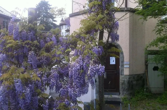 Garden Zuerichberg Lejlighed