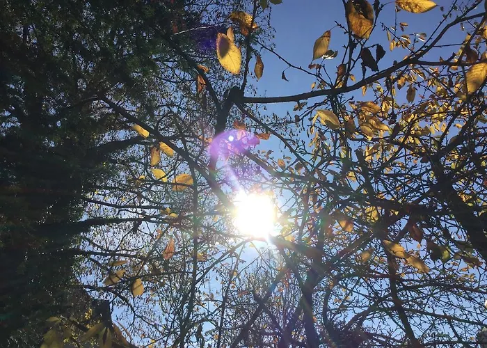 Garden Zuerichberg *