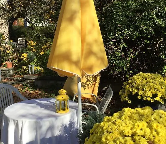 Garden Zuerichberg Lejlighed *