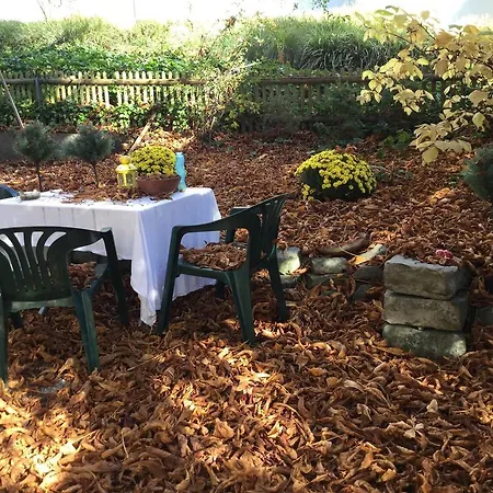 Garden Zuerichberg