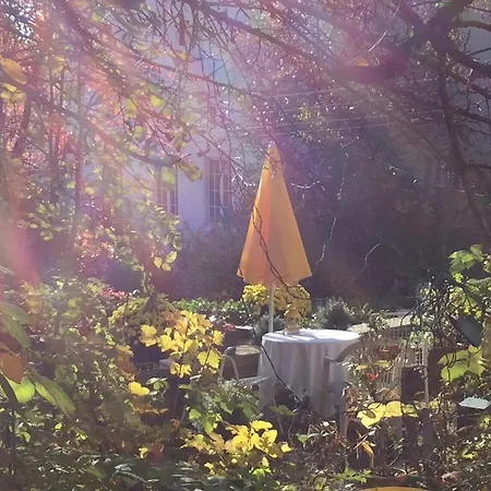 Garden Studio Zurichberg Apartment Zurich