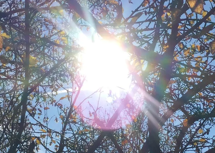 Garden Studio Zurichberg Apartment *