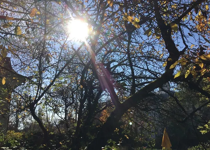 Garden Studio Zurichberg