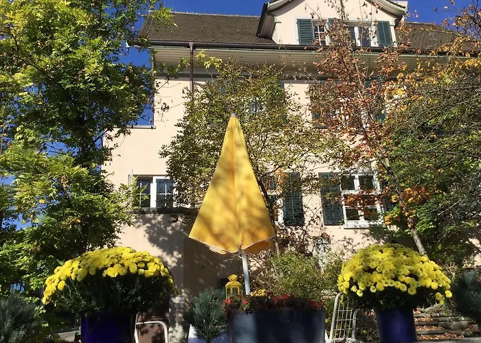 Garden Studio Zurichberg