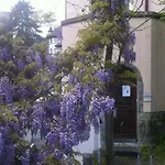 Garden Zuerichberg アパート